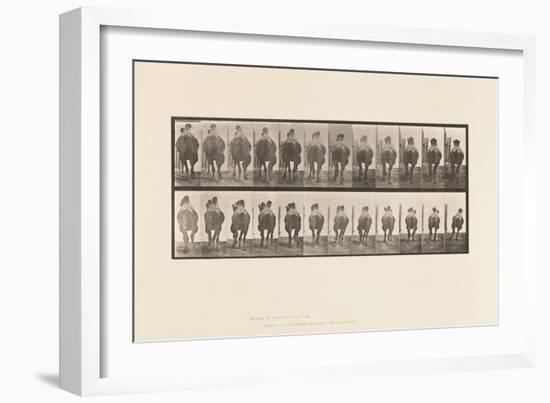 Plate 742. Bactrian Camel; A, Racking; B, Galloping, 1885 (Collotype on Paper)-Eadweard Muybridge-Framed Giclee Print