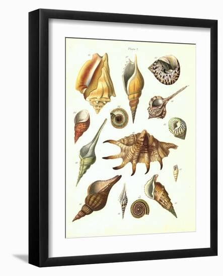 Plate 7-Porter Design-Framed Giclee Print