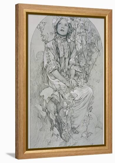 Plate 8 from 'Figures Decoratives', 1902-Alphonse Mucha-Framed Premier Image Canvas