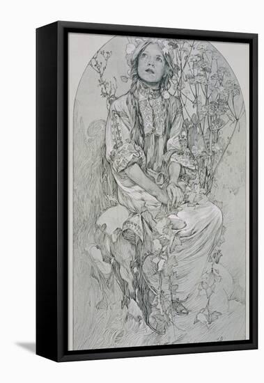 Plate 8 from 'Figures Decoratives', 1902-Alphonse Mucha-Framed Premier Image Canvas