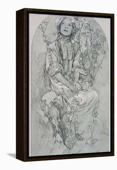 Plate 8 from 'Figures Decoratives', 1902-Alphonse Mucha-Framed Premier Image Canvas