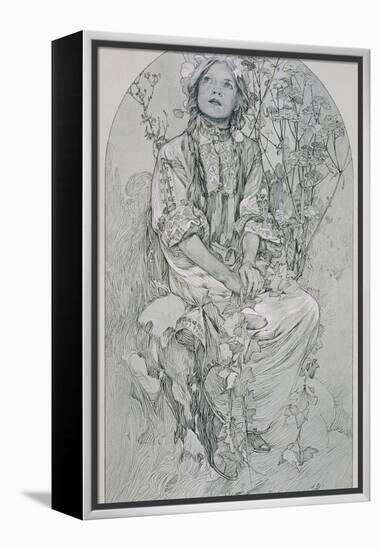 Plate 8 from 'Figures Decoratives', 1902-Alphonse Mucha-Framed Premier Image Canvas