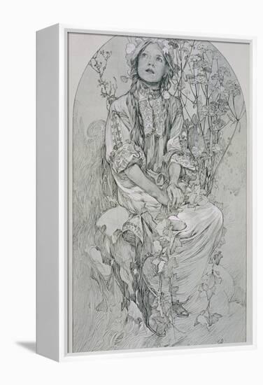 Plate 8 from 'Figures Decoratives', 1902-Alphonse Mucha-Framed Premier Image Canvas
