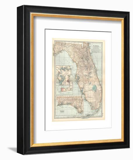 Plate 81. Map of Florida. United States. Inset Maps of Jacksonville-Encyclopaedia Britannica-Framed Premium Giclee Print