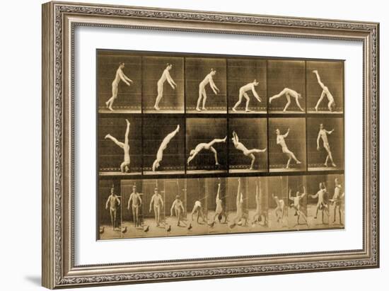 Plate from 'Animal Locomotion' Series, C.1887-Eadweard Muybridge-Framed Giclee Print