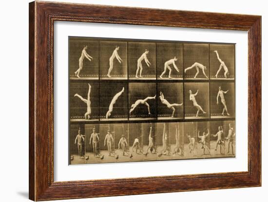 Plate from 'Animal Locomotion' Series, C.1887-Eadweard Muybridge-Framed Giclee Print