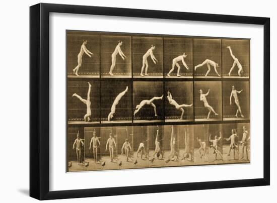 Plate from 'Animal Locomotion' Series, C.1887-Eadweard Muybridge-Framed Giclee Print