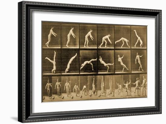 Plate from 'Animal Locomotion' Series, C.1887-Eadweard Muybridge-Framed Giclee Print