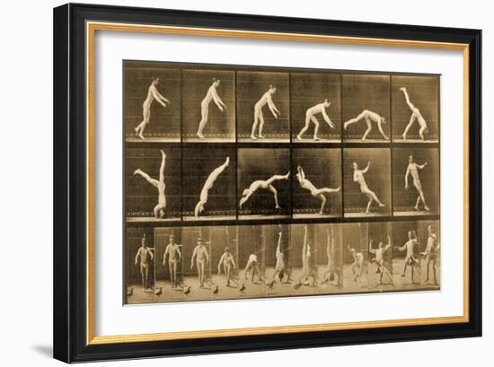 Plate from 'Animal Locomotion' Series, C.1887-Eadweard Muybridge-Framed Giclee Print