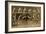 Plate from 'Animal Locomotion' Series, C.1887-Eadweard Muybridge-Framed Giclee Print