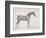 Plate from "The Anatomy of the Horse", C.1766-George Stubbs-Framed Giclee Print