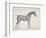 Plate from "The Anatomy of the Horse", C.1766-George Stubbs-Framed Giclee Print