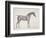 Plate from "The Anatomy of the Horse", C.1766-George Stubbs-Framed Giclee Print