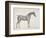 Plate from "The Anatomy of the Horse", C.1766-George Stubbs-Framed Giclee Print