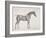 Plate from "The Anatomy of the Horse", C.1766-George Stubbs-Framed Giclee Print