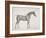 Plate from "The Anatomy of the Horse", C.1766-George Stubbs-Framed Giclee Print