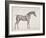 Plate from "The Anatomy of the Horse", C.1766-George Stubbs-Framed Giclee Print