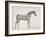 Plate from "The Anatomy of the Horse", C.1766-George Stubbs-Framed Giclee Print