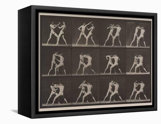 Plate Number 340. Boxing; open hand , 1887-Eadweard Muybridge-Framed Premier Image Canvas