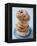 Plate of donuts-Lew Robertson-Framed Premier Image Canvas