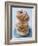 Plate of donuts-Lew Robertson-Framed Photographic Print