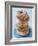 Plate of donuts-Lew Robertson-Framed Photographic Print