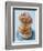 Plate of donuts-Lew Robertson-Framed Photographic Print