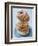 Plate of donuts-Lew Robertson-Framed Photographic Print