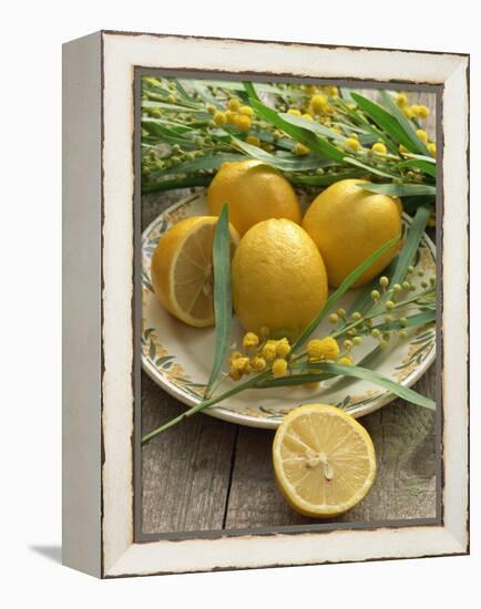 Plate of Lemons and Mimosa Flowers-Michelle Garrett-Framed Premier Image Canvas