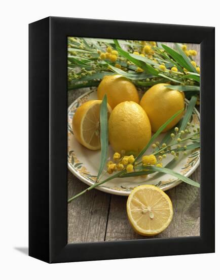 Plate of Lemons and Mimosa Flowers-Michelle Garrett-Framed Premier Image Canvas