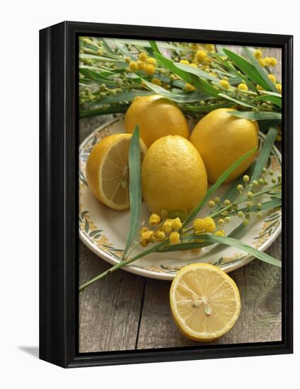 Plate of Lemons and Mimosa Flowers-Michelle Garrett-Framed Premier Image Canvas