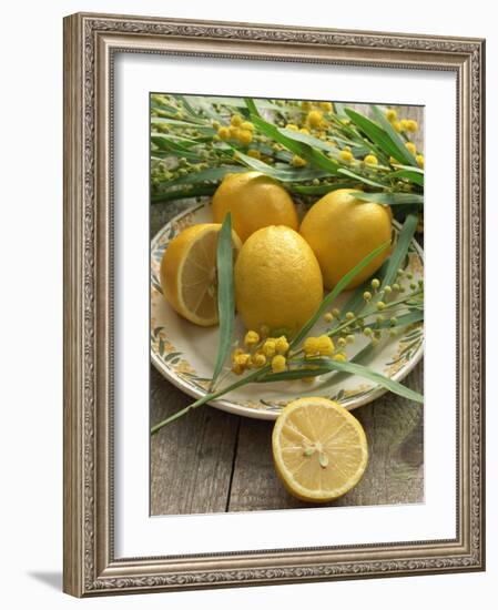 Plate of Lemons and Mimosa Flowers-Michelle Garrett-Framed Photographic Print