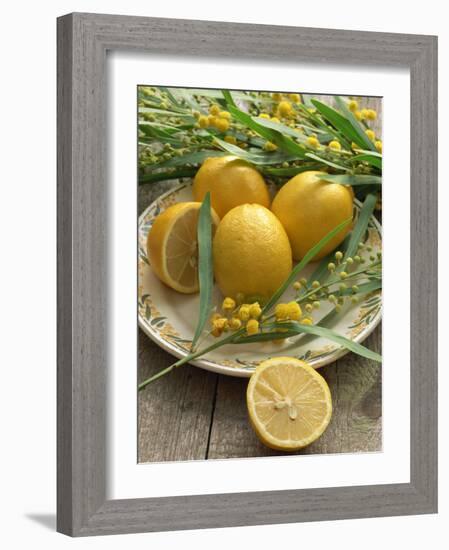 Plate of Lemons and Mimosa Flowers-Michelle Garrett-Framed Photographic Print