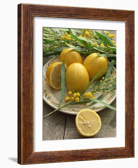 Plate of Lemons and Mimosa Flowers-Michelle Garrett-Framed Photographic Print