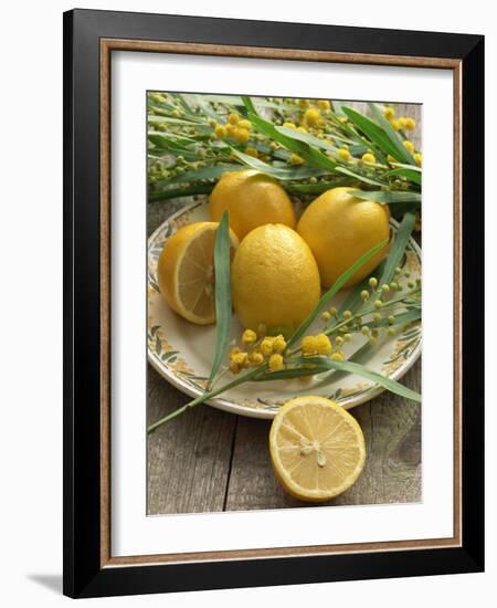 Plate of Lemons and Mimosa Flowers-Michelle Garrett-Framed Photographic Print