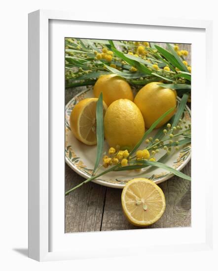 Plate of Lemons and Mimosa Flowers-Michelle Garrett-Framed Photographic Print