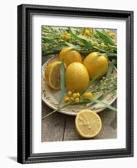 Plate of Lemons and Mimosa Flowers-Michelle Garrett-Framed Photographic Print