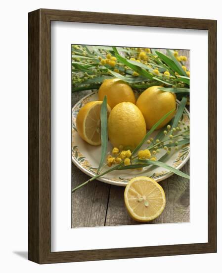 Plate of Lemons and Mimosa Flowers-Michelle Garrett-Framed Premium Photographic Print