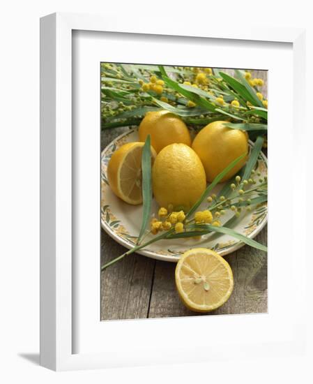 Plate of Lemons and Mimosa Flowers-Michelle Garrett-Framed Premium Photographic Print