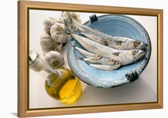 Plate of Mackerel-Erika Craddock-Framed Premier Image Canvas