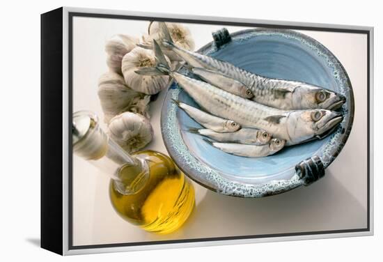 Plate of Mackerel-Erika Craddock-Framed Premier Image Canvas