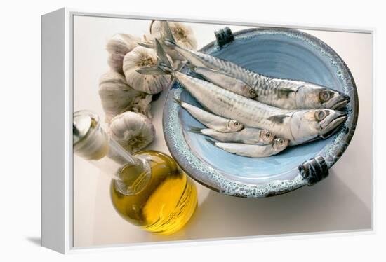 Plate of Mackerel-Erika Craddock-Framed Premier Image Canvas