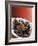 Plate of Mussels, Glasgow, Scotland, United Kingdom-Yadid Levy-Framed Photographic Print