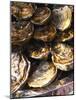 Plate of Oysters, France-Per Karlsson-Mounted Photographic Print