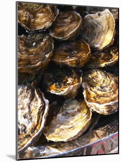 Plate of Oysters, France-Per Karlsson-Mounted Photographic Print