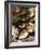 Plate of Oysters, France-Per Karlsson-Framed Photographic Print