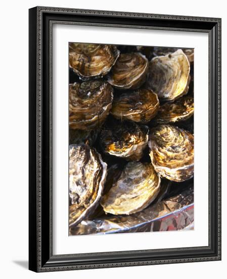 Plate of Oysters, France-Per Karlsson-Framed Photographic Print