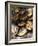 Plate of Oysters, France-Per Karlsson-Framed Photographic Print