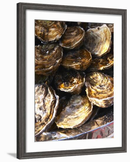 Plate of Oysters, France-Per Karlsson-Framed Photographic Print