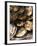 Plate of Oysters, France-Per Karlsson-Framed Photographic Print